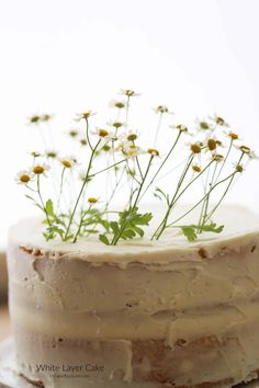 a close up of a cake with white flowers on top and green leaves sticking out of the frosting