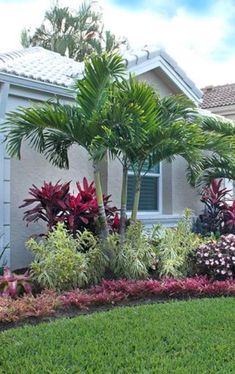 a house with landscaping in front of it and palm trees around the yard area on either side