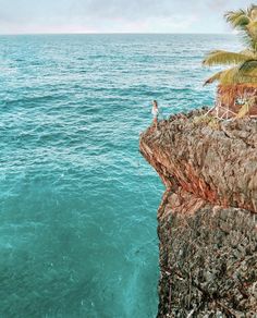 a person standing on the edge of a cliff overlooking the ocean with palm trees in the foreground