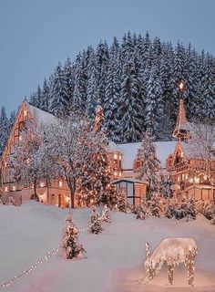 a house with christmas lights on it and a horse in the snow