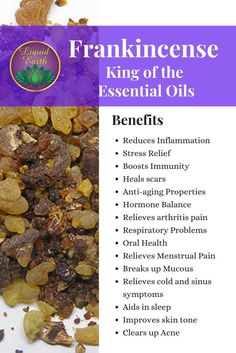 Frankincense Essential Oil For Pain, Frankincense Essential Oil Benefits Skin, Frankincense And Myrrh Benefits, Myrrh Benefits, Myrrh Essential Oil Uses, Frankensence Oil Uses, Frankensence Oil, Benefits Of Frankincense Essential Oil, Benefits Of Frankincense Oil