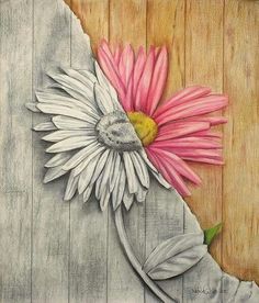 a drawing of a pink and white flower on a piece of paper with wood background