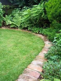 a garden with green grass and lots of plants