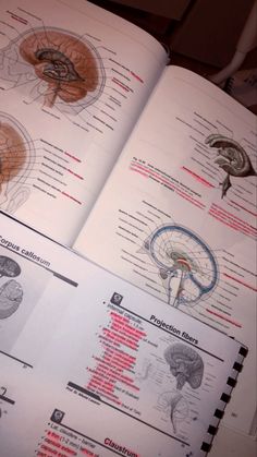 an open book with diagrams and text about the human brain on it's pages