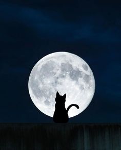 a black cat sitting on top of a roof in front of a large full moon