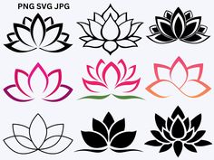 the lotus symbol is shown in different colors and sizes, including red, pink, green,