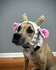 a dog wearing a knitted hat with horns