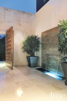 a plant in a large pot on the floor next to a wall with plants inside