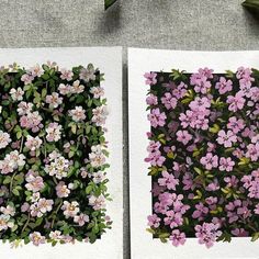 two paintings of pink flowers on white paper next to each other with green leaves in the background