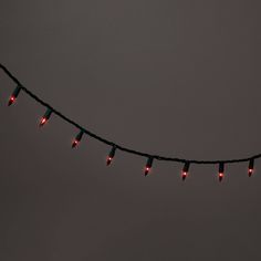 These adorable 100-Count Incandescent Smooth Mini Christmas String Lights from Wondershop™ make a fun and festive addition to your indoor or outdoor holiday decor. Featuring 100 incandescent lights in miniature bulbs, this string light strand measures 21.12 feet in total length and requires an electric power source. They're strung on wires that'll blend effortlessly into your Christmas tree or other plants so only the lights show, and they come with a 1-year limited warranty so you don't have to Incandescent Christmas Lights, Red Light Bulbs, Orange String Lights, Mini String Lights, Bulbs Indoor, Target Gifts, Led Fairy Lights, Christmas String Lights, Outdoor Holidays