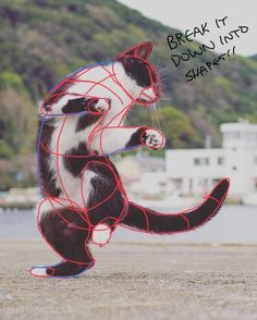 a black and white cat is playing with string art on the beach near some water