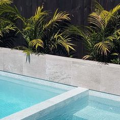 an empty swimming pool with plants in the background