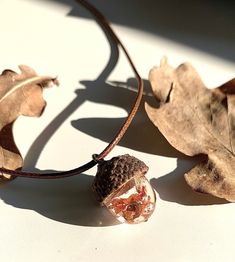 real oak acorn shell and resin necklace, nature jewel.  The oak symbolizes strength, power and longevity. It is also a link between heaven and earth. Its fruits, the acorns are the symbol of the latent strength of the tree.  This necklace is made of a natural oak acorn shell and an acorn made of resin in which I incorporated pieces of oak leaves as well as copper foil to give it an autumnal color and beautiful coppery reflections.  Each piece of jewelry is handcrafted and is therefore unique, like the elements of nature embedded in it. Wearing one of these jewels is to immortalize a bit of nature and keep it with you.  * DESCRIPTION:  o Model: real oak acorn shell and resin necklace  o Dimension: 45cm length cord + 5cm extension chain.  o Materials:     - resin     - nylon cord     - brass Acorn Resin Necklace, Nature-inspired Natural Color Jewelry As A Gift, Spiritual Natural Color Necklaces As Gift, Natural Color Pendant Jewelry Gift, Nature-inspired Jewelry As A Gift With Natural Variations, Natural Spiritual Jewelry As A Gift, Adjustable Jewelry With Natural Variations As Gift, Brown Necklace With Natural Variations For Gifts, Nature-inspired Jewelry For Healing With Natural Inclusions