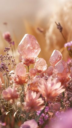 A photorealistic image of small pink quartz druzy crystals (5-10 cm) among wildflowers in a summer forest. Soft, airy space, with a beige-brown palette. No text! Style: photorealism.