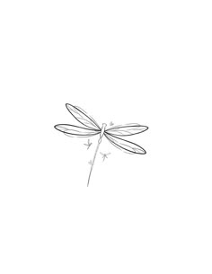 Small Girly Tattoos, Dragonfly Tattoo Design, Small Hand Tattoos, Dragonfly Tattoo, Classy Tattoos, Girly Tattoos