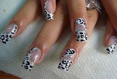 Nails Nail Designs 2014, Animal Print Nails Art, Animal Nails, Animal Print Nails, Simple Nail Art Designs, Beautiful Nail Designs, Beautiful Nail Art