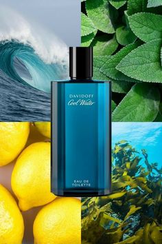 Fragrance Guide, Water Notes, Fragrance Editorial, Davidoff Cool Water, Organic Packaging, Alcohol Packaging