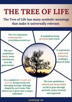 the tree of life has many symbolic meaningss that make it unversily relevant