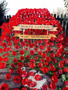 a field full of red flowers with wooden signs pointing to the names of different places