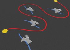 an image of two fish chasing each other in the air on a black surface with yellow and blue balls