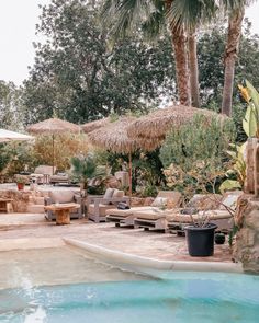 an outdoor pool area with lounge chairs, umbrellas and palm trees in the background