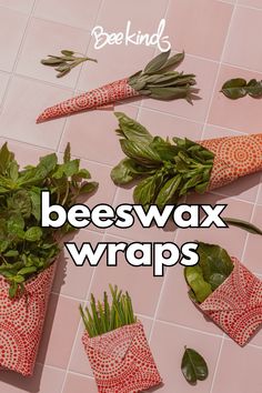 "The Best Brand of Beeswax Wraps" Preserved Food, Say No To Plastic