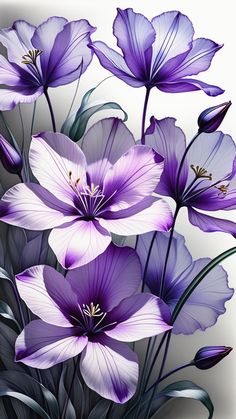 purple flowers with green stems and leaves on a white background in an artistic painting style