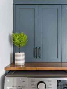 a potted plant sitting on top of a dryer in a room with blue cabinets