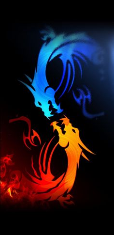 two fire breathing birds on a black background with red, blue and yellow flames in the foreground