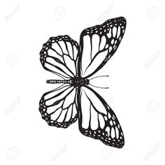 a black and white drawing of a butterfly