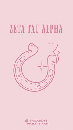 a pink book cover with the words zeta tau alpha