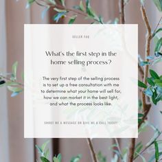 a plant with the words what's the first step in the home selling process?