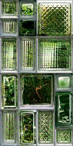 a glass block wall with green plants in the middle and small squares on each side