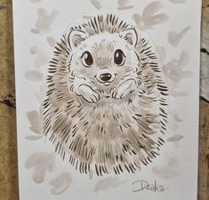 a drawing of a porcupine on paper