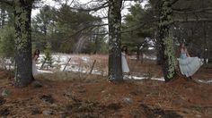 three women in white dresses are walking through the woods