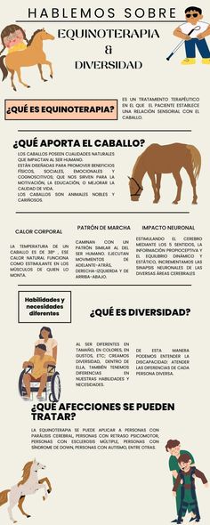 an info sheet describing the different types of horses and how they can be used for them