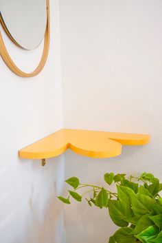 a potted plant sitting next to a mirror on the side of a white wall