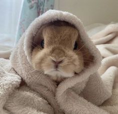 a small rabbit wrapped in a blanket on top of a bed