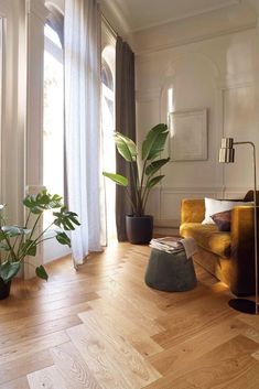 a living room filled with furniture and lots of plants on top of hard wood flooring