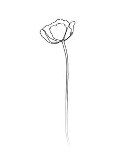 a black and white drawing of a single flower