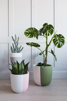 three potted plants in different colors and shapes