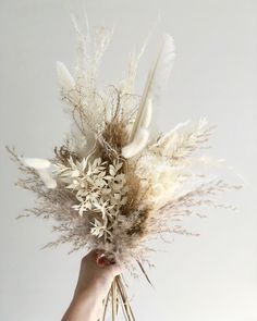 a hand holding a bunch of dried flowers