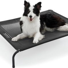 a black and white dog laying on top of a pet cot with its tongue out