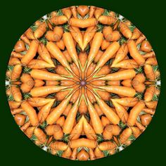 an image of carrots arranged in a circular pattern