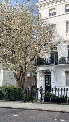 a large white building sitting next to a tree with lots of flowers on it's branches