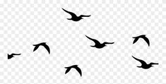 a flock of birds flying in the sky, silhouetted against a transparent background png