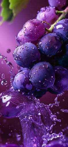 grapes are being splashed with water on a purple background in this artistic photo by photographer mark smith