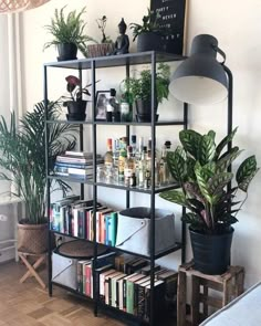 a shelf with books and plants in it