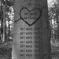 a tree with writing on it and a heart carved into the bark in black and white