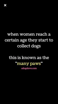 an image of a dog with the caption when women reach a certain age they start to collect dogs this is known as the many paws